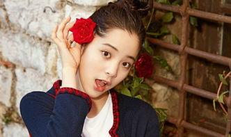 娱乐吃瓜酱娜娜摆摊日记,揭秘娱乐圈背后的真实生活